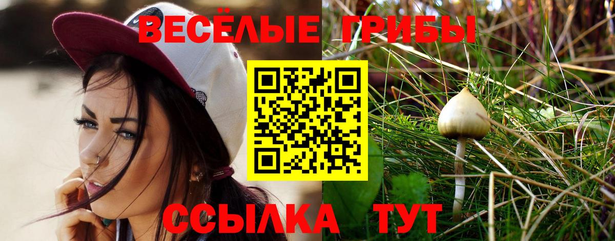 Муравленко  Псилоцибиновые грибы прущие грибы  Вход с VPN 